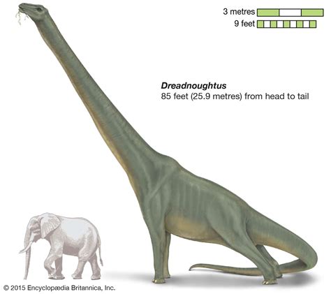 6 Awesome Dinosaur Species You Should Know | Britannica