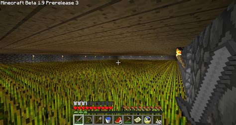 Automatic wheat farms - Survival Mode - Minecraft: Java Edition ...