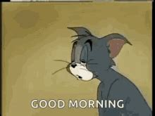 Morning Tired GIFs | Tenor