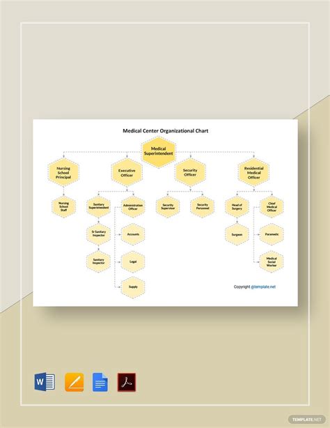 FREE Medical Organizational Charts Templates - Download in Word, Google Docs, PDF, Apple Pages ...