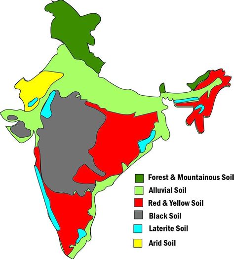 -. On of an label aubline physical map major soil map of types. India mark - Brainly.in