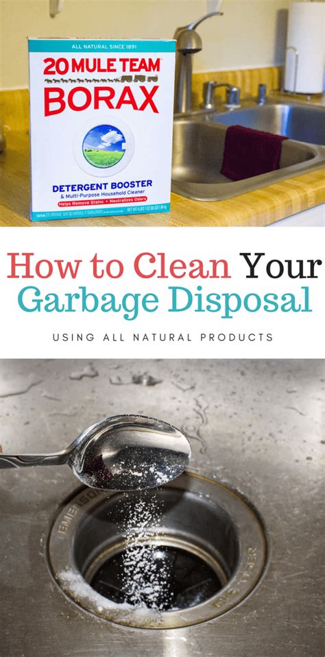 How to Clean Garbage Disposal & Trash Can Naturally | Garbage disposal ...