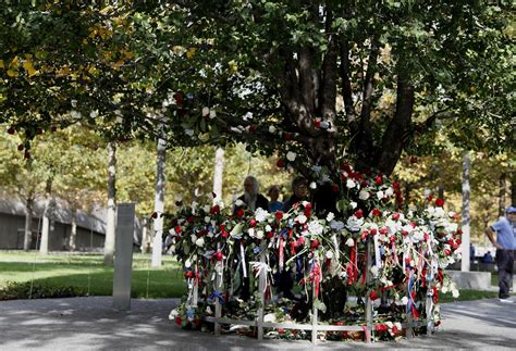 The Survivor Tree | National September 11 Memorial & Museum