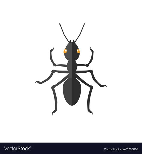 Ant Icon Royalty Free Vector Image - VectorStock