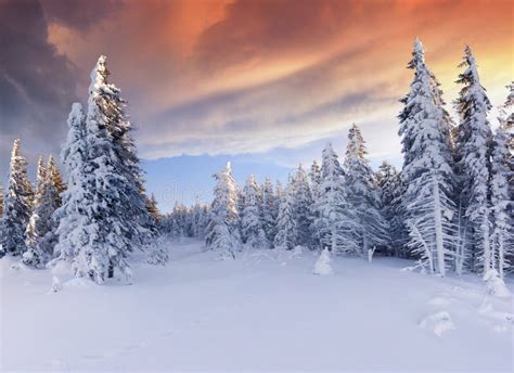 Beautiful Winter Landscape in Mountains. Sunrise Stock Photo - Image of highlands, colorful ...