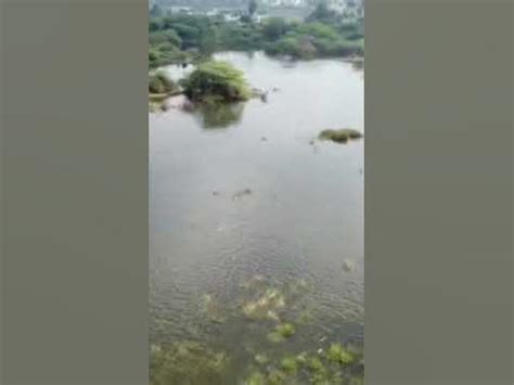 Chennai near Minjur seemapuram check dam drone view #minjur #shorts # ...