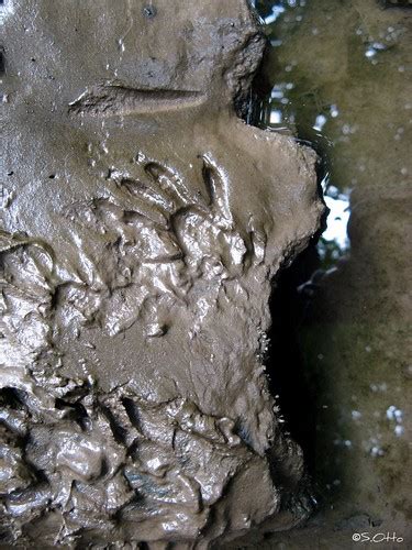 Muddy Footprints | As I went down by the river on my retreat… | Flickr