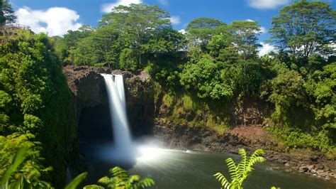 Rainbow Falls, Hilo holiday rentals: houses & more | Vrbo