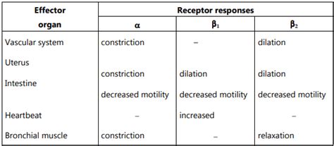 to control neurotransmitter release can change the pace of neurotransmitter production as needed