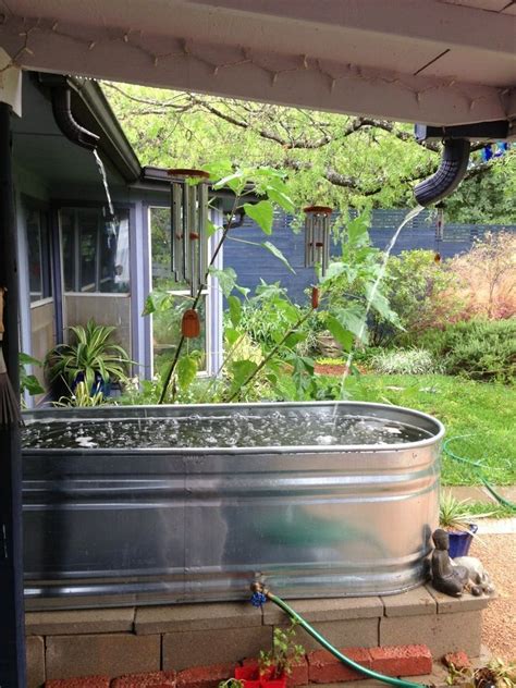 Rainwater Collection At Work | Rain water collection, Backyard ...