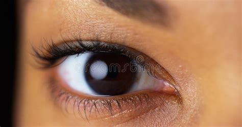 Closeup of brown eyes stock image. Image of background - 47558873