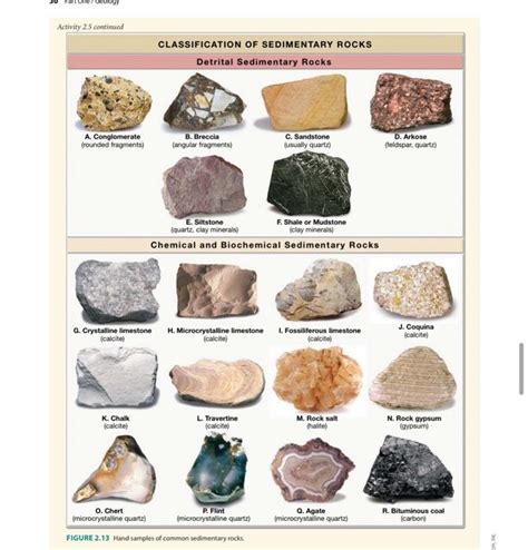 Solved 4. Comparing a detrital sedimentary rock, such as a | Chegg.com