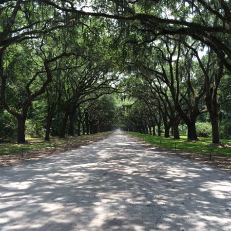 Wormsloe Historic Site