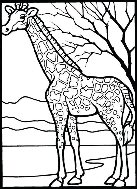 Savanna Animals Coloring Pages at GetColorings.com | Free printable ...