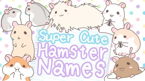 View 18 Cute Names For White Hamsters - factgettygive