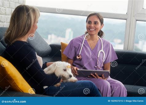 Veterinary with Dog Owner and Pet during Home Visit Stock Image - Image of people, routine ...