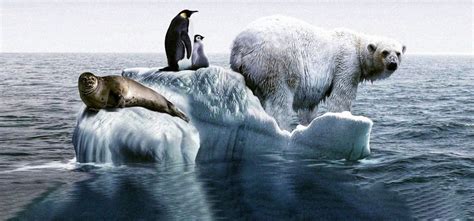 These 24 Species Of Animals Are On The Brink Of Extinction, Thanks To Climate Change