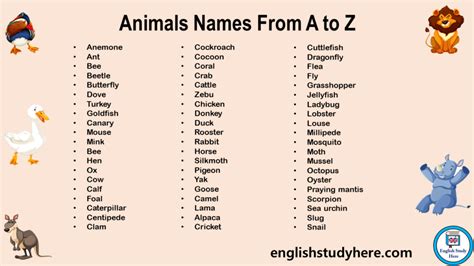 1000 Animals Names From A to Z in English - English Study Here