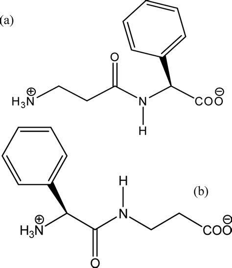 Structure Of Dipeptide