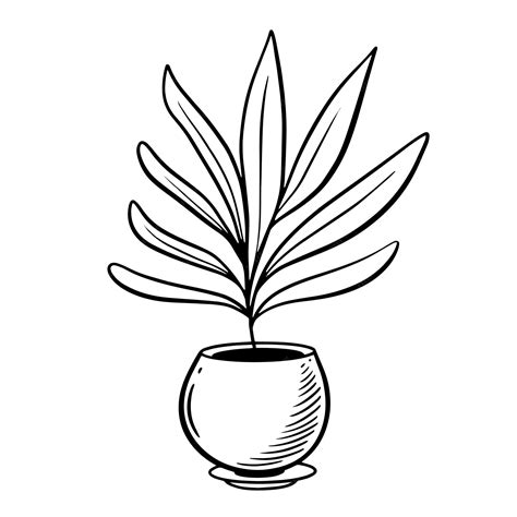 Premium Vector | Hand drawn plant in a pot home design interior decor