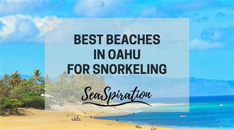 Best Beaches In Oahu For Snorkeling