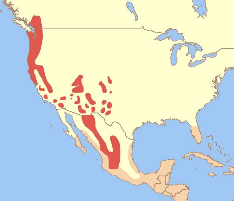 Northern Spotted Owl Habitat Map