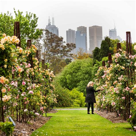 Royal Botanic Gardens Victoria (Melbourne) - All You Need to Know BEFORE You Go