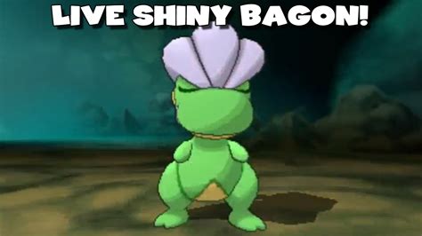 LIVE SHINY BAGON AFTER 26 HORDE ENCOUNTERS - Pokemon Omega Ruby/Alpha Sapphire Highlight - YouTube