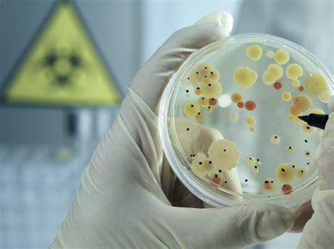 Colony PCR Reagents | PCR Biosystems