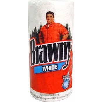 Wholesale Brawny Paper Towel White (SKU 317363) DollarDays