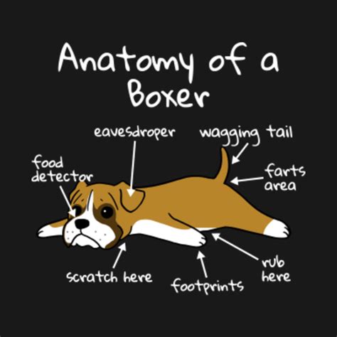 Anatomy Of A Boxer Dog - Boxer Dog - T-Shirt | TeePublic