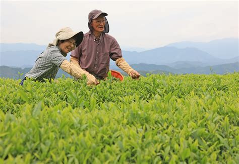 Japan inches toward agricultural reform | East Asia Forum | East Asia Forum