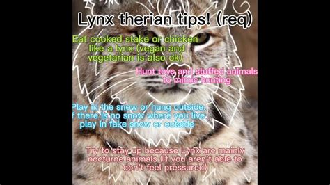 Tips for lynx therians 🐾 - YouTube