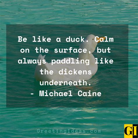 30 Inspiring Duck Quotes to Stay Calm Amidst the Storm