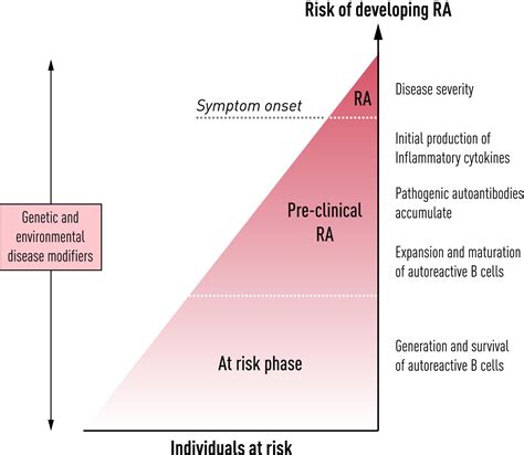 Individuals at risk of seropositive rheumatoid arthritis: the evolving story - Rantapää ...