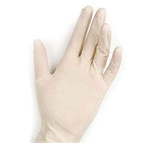 Latex Gloves Powder Free 100/Box