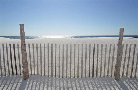 Sand Fence On Beach by Nine Ok