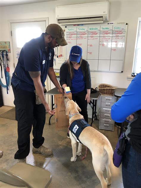 Boeing Employees Learn Service Dog Training Fundamentals – Warrior ...