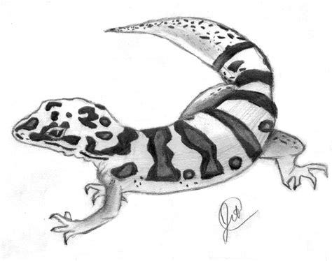 Leopard Gecko by TeaAndBicuits on DeviantArt