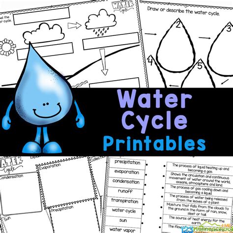 Water Cycle Worksheet Pdf – English Worksheet