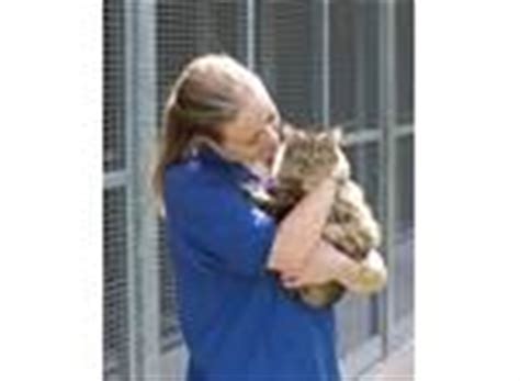 Why become a Cats Protection volunteer?