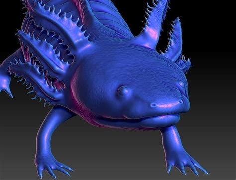 Axolotl 3D model 3D printable | CGTrader