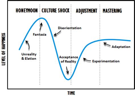 culture shock – What is Wrong with My Data