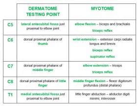 Cervical Canal Stenosis