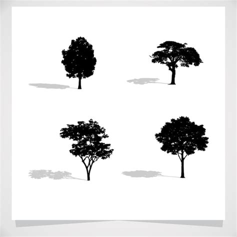 Premium Vector | Tree silhouette with realistic shadow