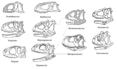 Abelisauridae - Alchetron, The Free Social Encyclopedia