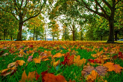 Autumn Seasons Free Stock Photo - Public Domain Pictures