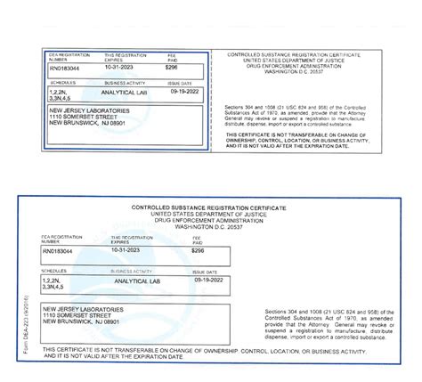 Dea License Renewal Requirements 2024 - Karyn Marylou