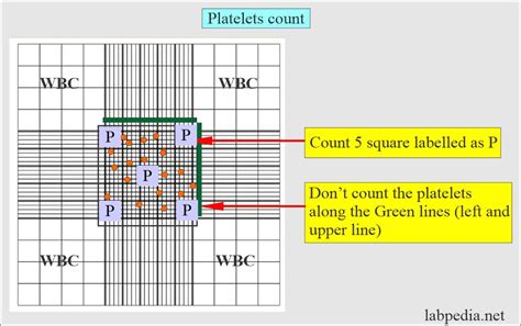 How To Count Platelets By The Manual Method Using Improved, 46% OFF