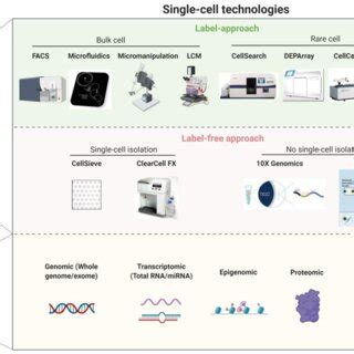 (PDF) Biomarkers for Precision Urothelial Carcinoma Diagnosis: Current ...